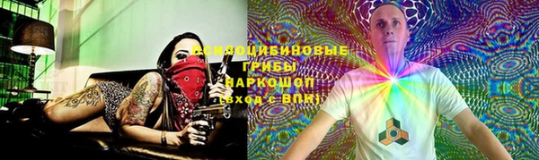 твердый Алексеевка