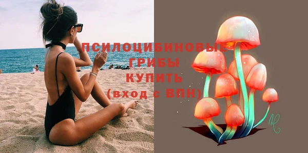 молекула духа Алексин