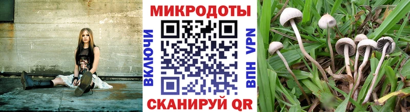 Галлюциногенные грибы Psilocybine cubensis Тотьма